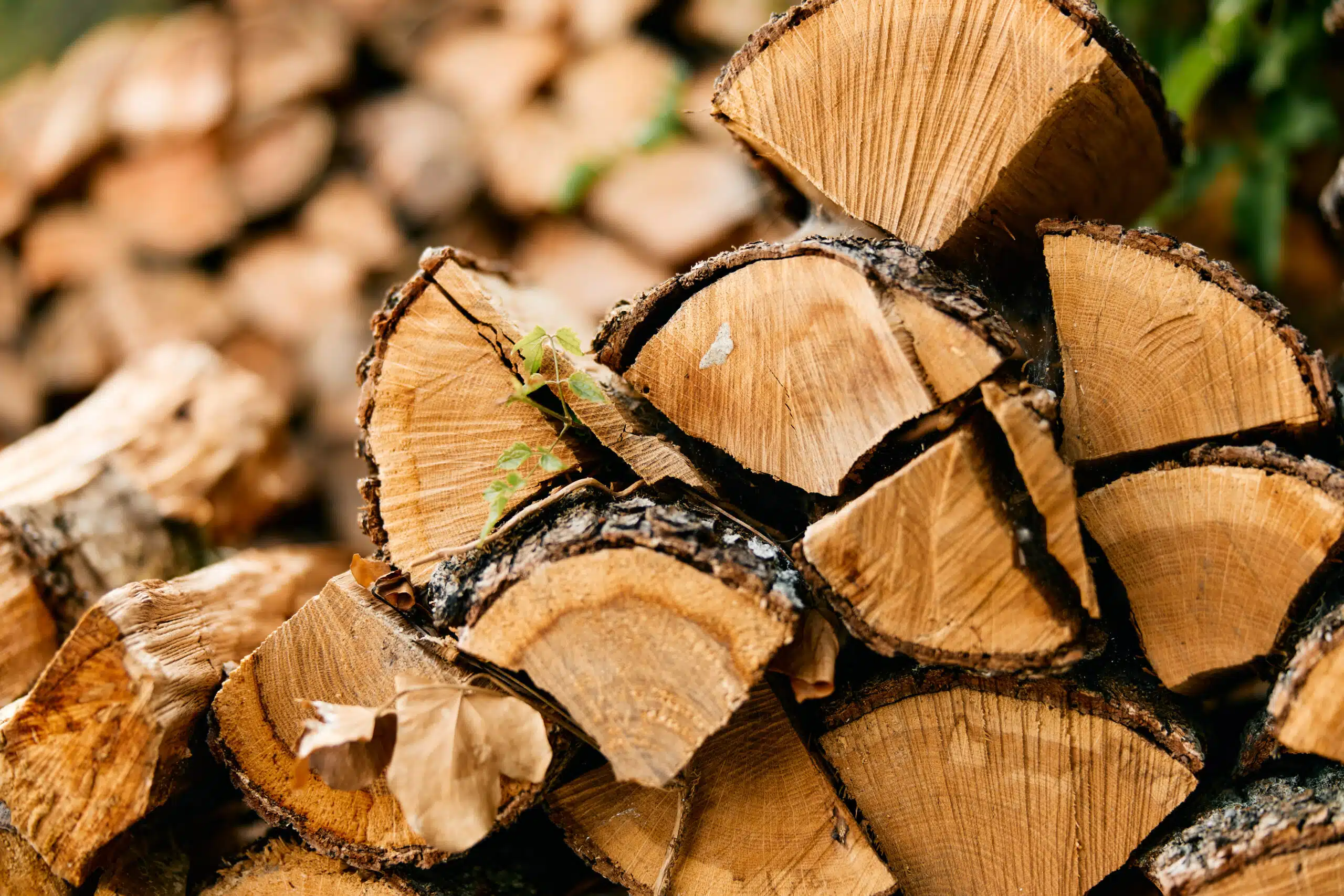 Prix d'un stère de bois en 50 cm en janvier 2026 : Tarifs livré